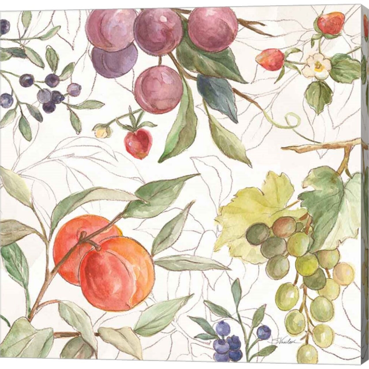 In the Orchard VIII by Silvia Vassileva 12" x 12" Canvas Wall Art